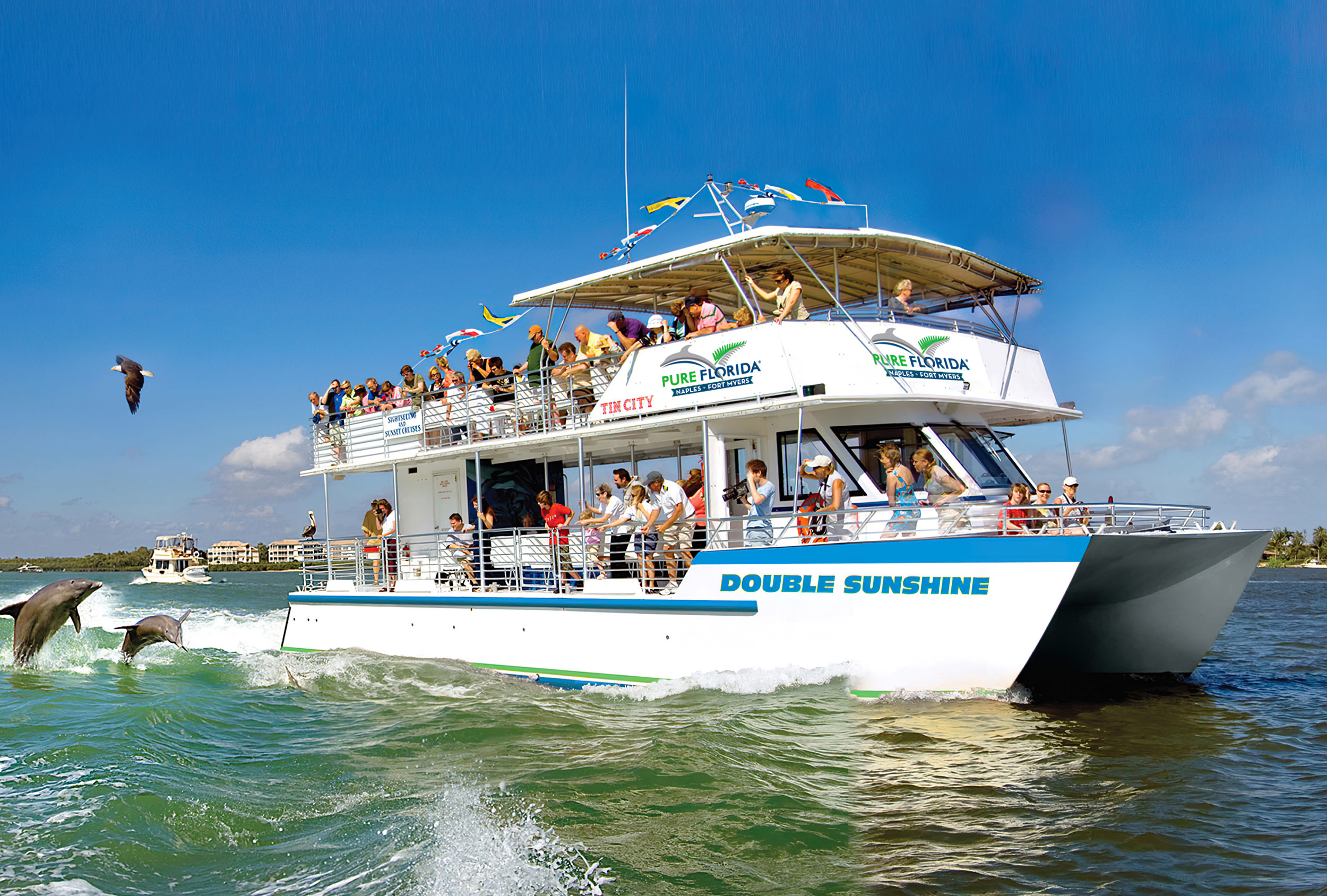 25 Sightseeing Cruises during Stone Crab Festival 2021 Pure Florida